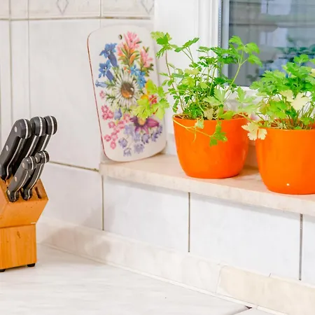 Sea Star Τρογκίρ