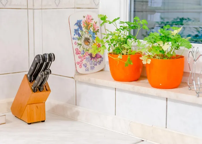 Sea Star טרוגיר