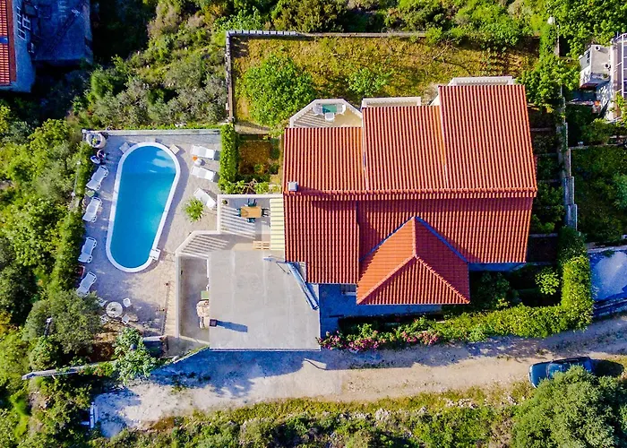 Sea Star * טרוגיר